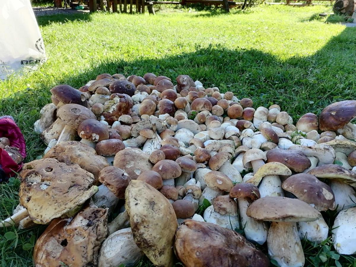 Country house віадук